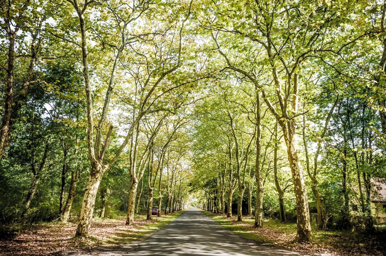 Domaine De La Forge Hotell La Teste-de-Buch Eksteriør bilde